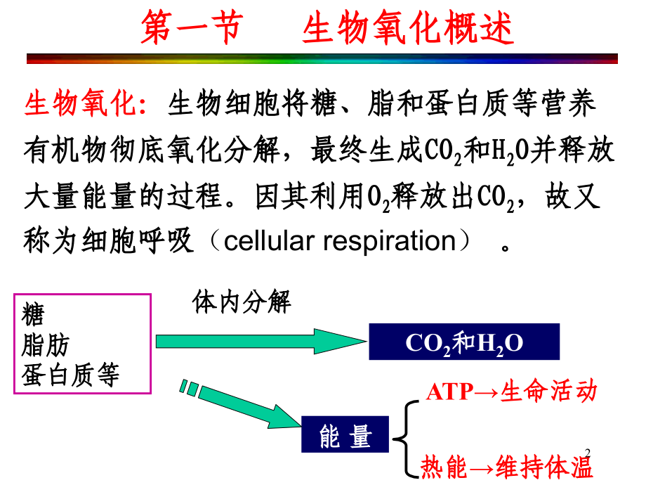 第六章生物氧化培训讲学_第2页