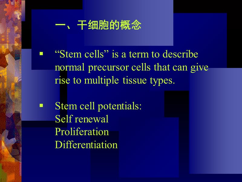 干 细 胞 总 论教学提纲_第2页
