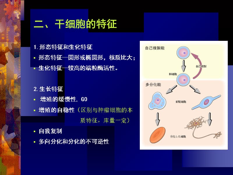 干 细 胞 总 论教学提纲_第3页