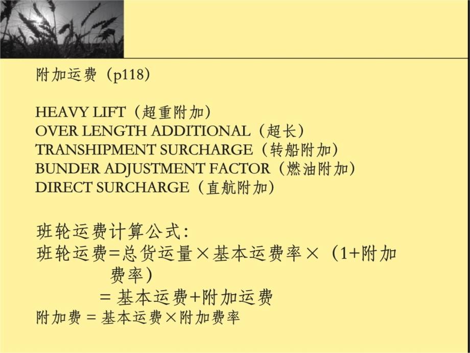 第三讲——国际货物运输培训教材_第4页