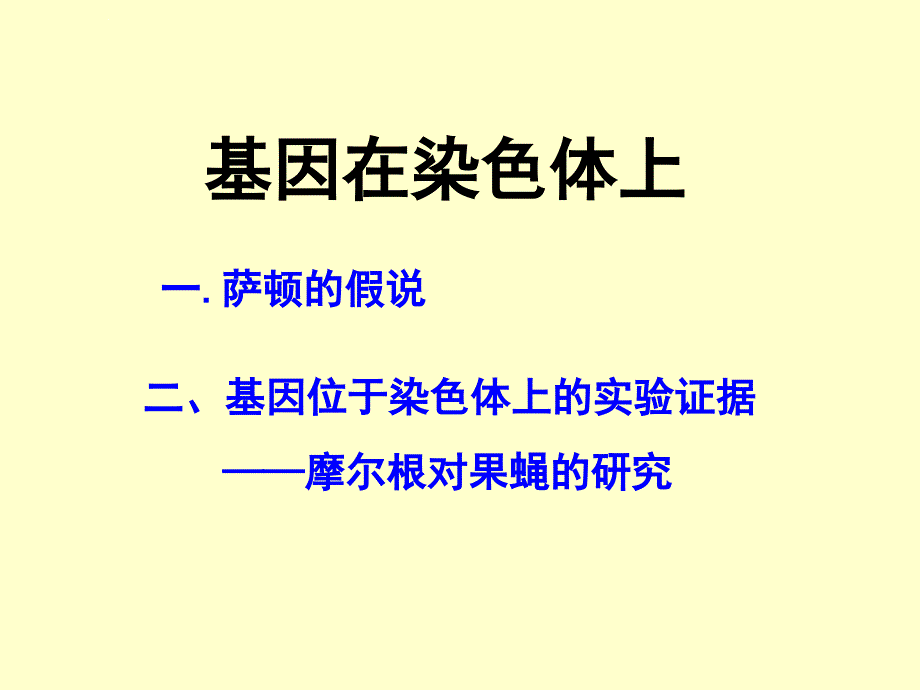 伴性遗传 复习用课件_第3页