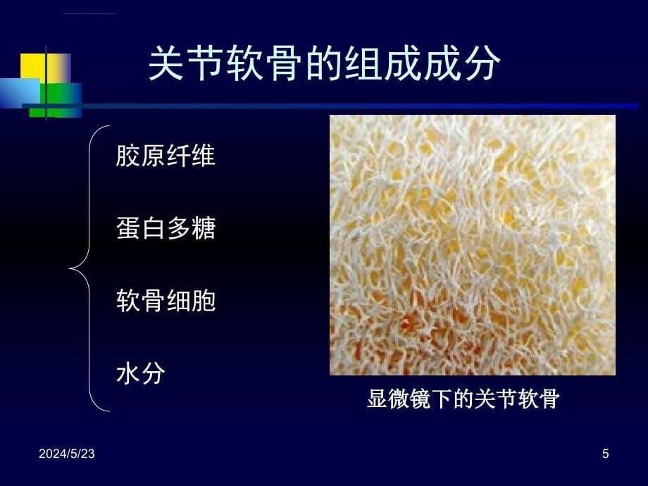 关节软骨的生物力学-PPT文档资料课件_第5页