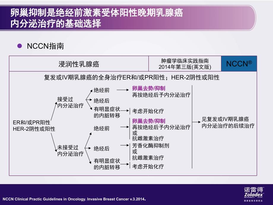 诺雷得治疗乳腺晚期PPT演示幻灯片_第3页