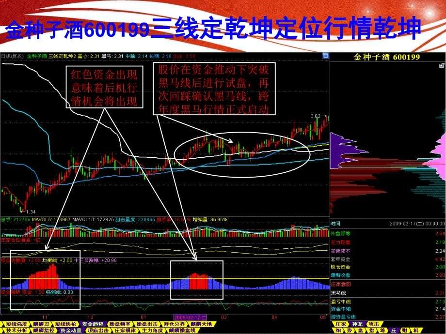 麒麟短线王 黑马启动的瞬间复习课程_第5页