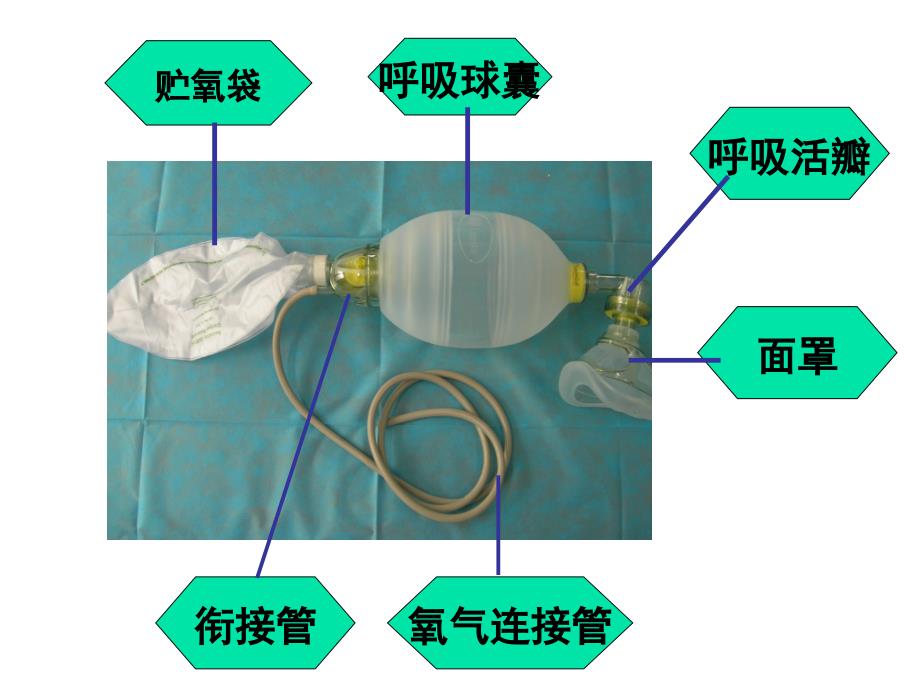 口咽通气道、简易呼吸囊使用课件_第4页