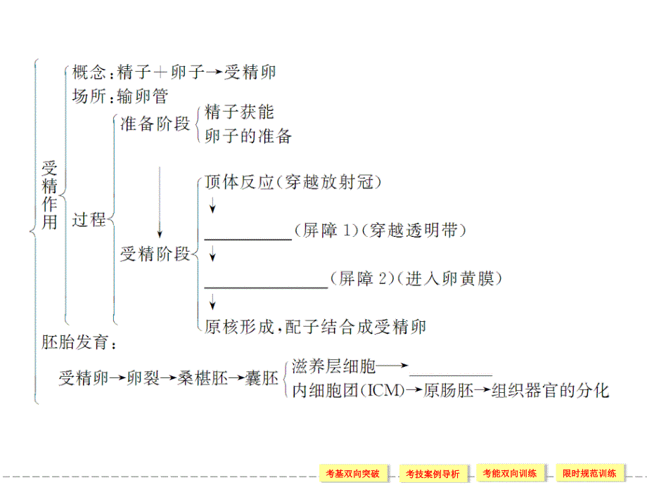 2013届精品复习课件胚胎工程_第3页