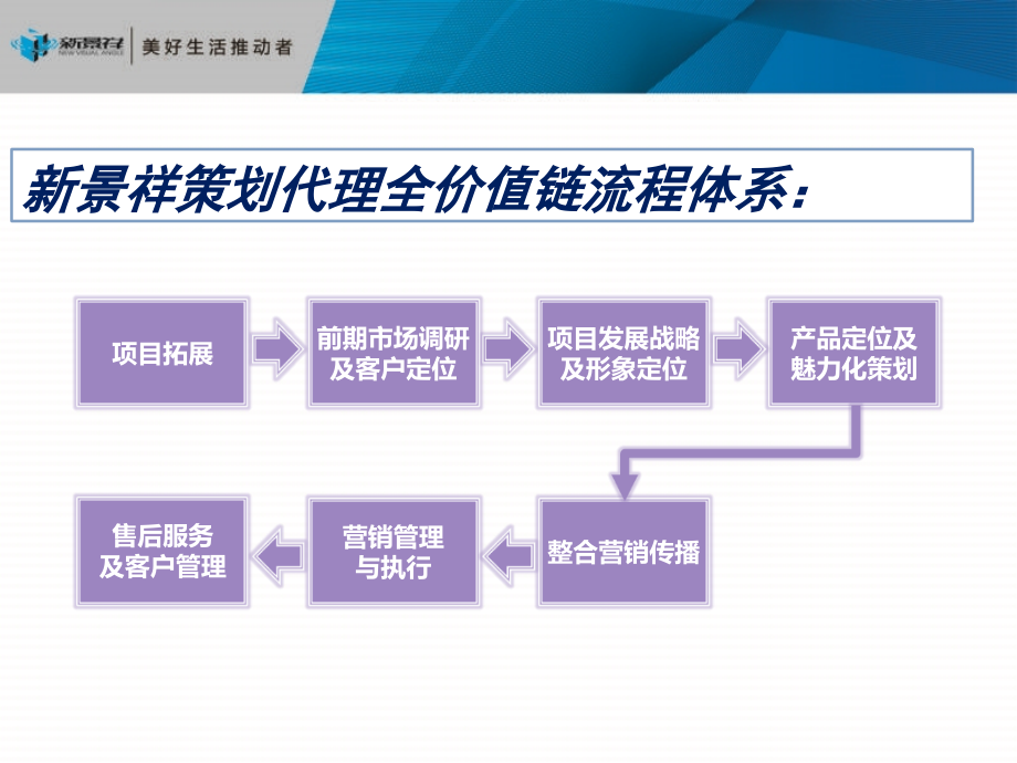 如何做项目发展战略定位教学提纲_第2页