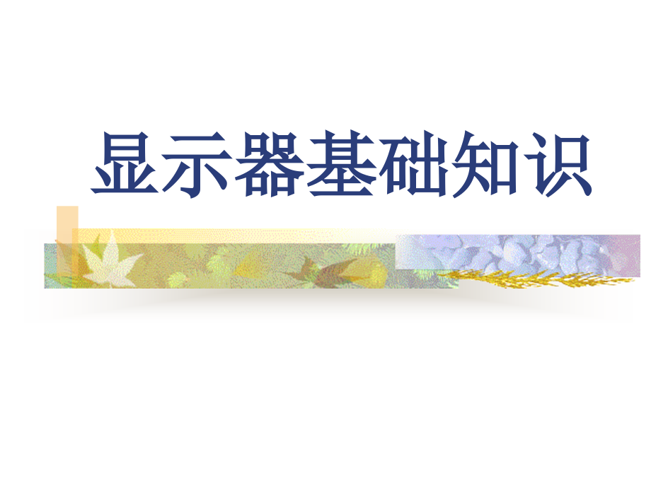 显示器基础知识13866电子教案_第1页