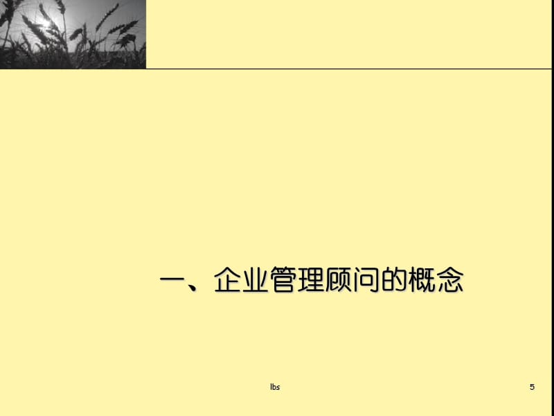 企业管理咨询公司知识讲解_第5页