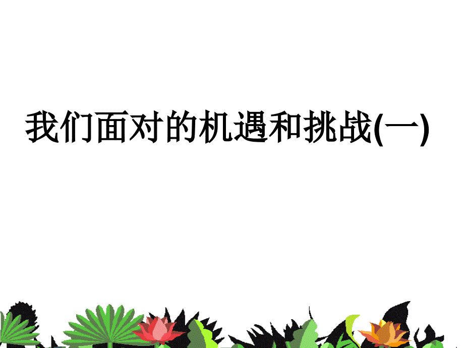 我们面对的机遇和挑战一培训教材_第1页