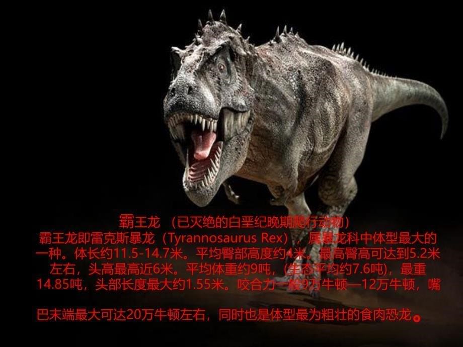 恐龙的灭绝教学幻灯片_第5页