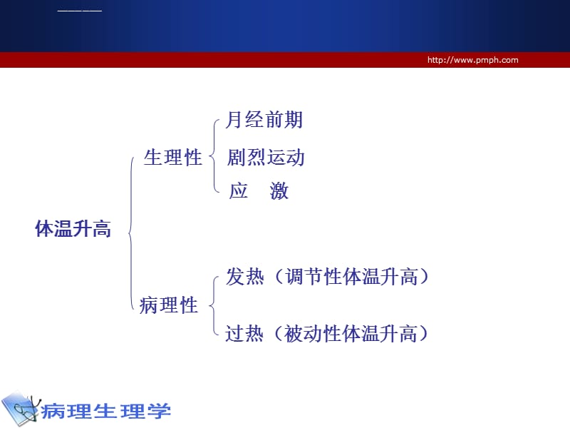 发热 病理学教研室课件_第4页