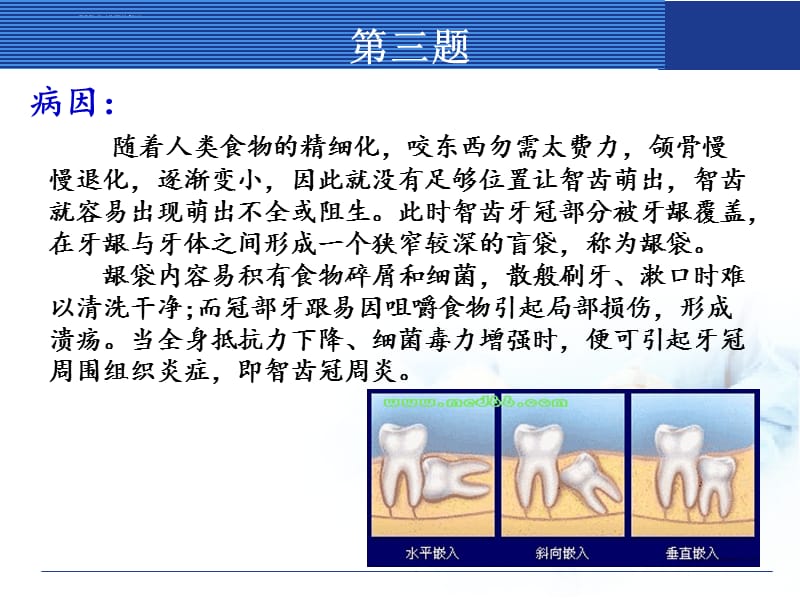 口腔解剖生理学讲课课件_第3页