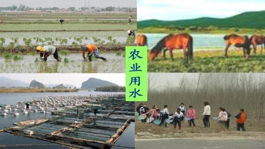 初中课件--八年级地理第三章中国的自然资源第三节水资源PPT新人教版精品课件_第5页