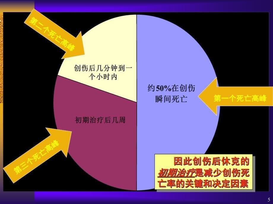 创伤性休克篇PPT演示幻灯片_第5页