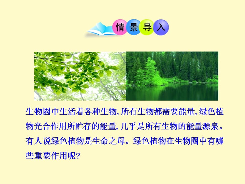 北师大版七年级生物上册第7章 绿色植物与生物圈 第1节 绿色植物在生物圈中的作用 (共31张PPT)课件3_第2页