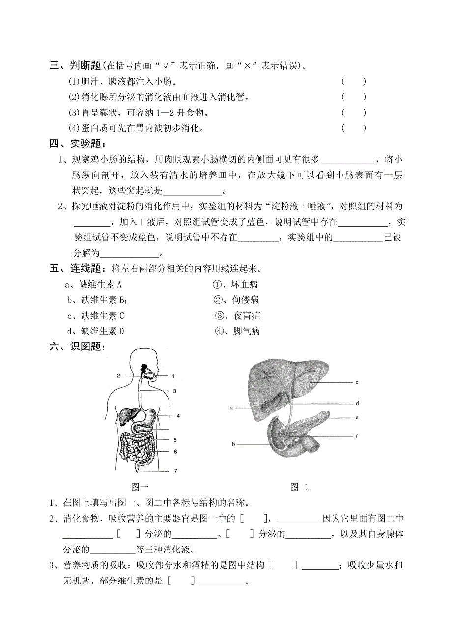 北师大版七年级生物下试题_第3页