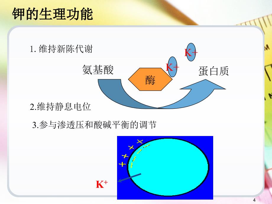 高钾血症护理查房（课堂PPT）_第4页