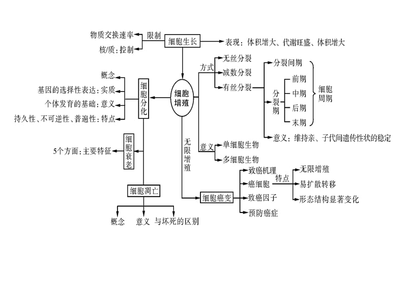 细胞分化（课堂PPT）_第5页