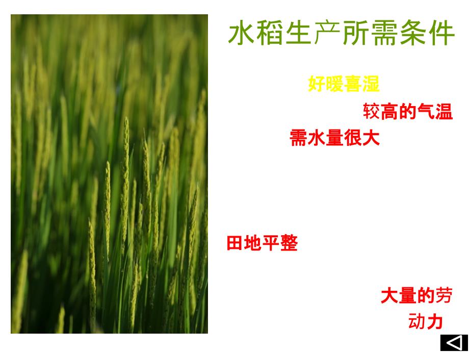 四川省成都为明学校人教高中地理必修二32以种植业为主的农业地域类型第一课时课件_第4页