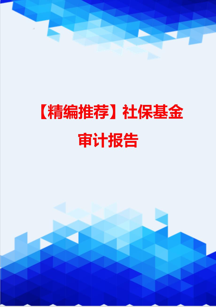 【精编推荐】社保基金审计报告_第1页