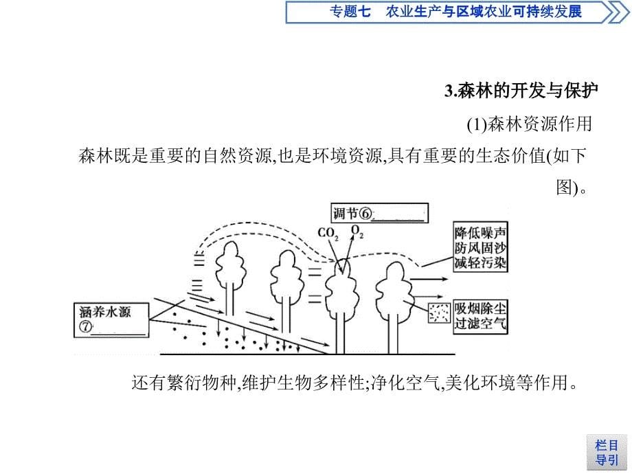 高考地理课标一轮复习课件专题十四区域生态环境建设与资源综合开发_第5页