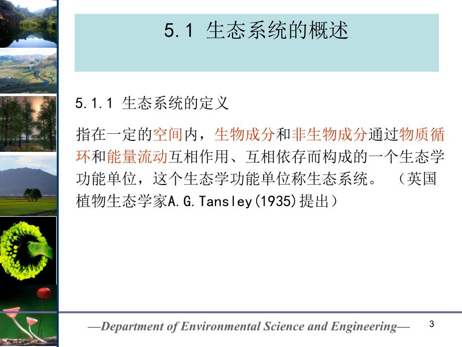 生态系统生态学（课堂PPT）_第3页