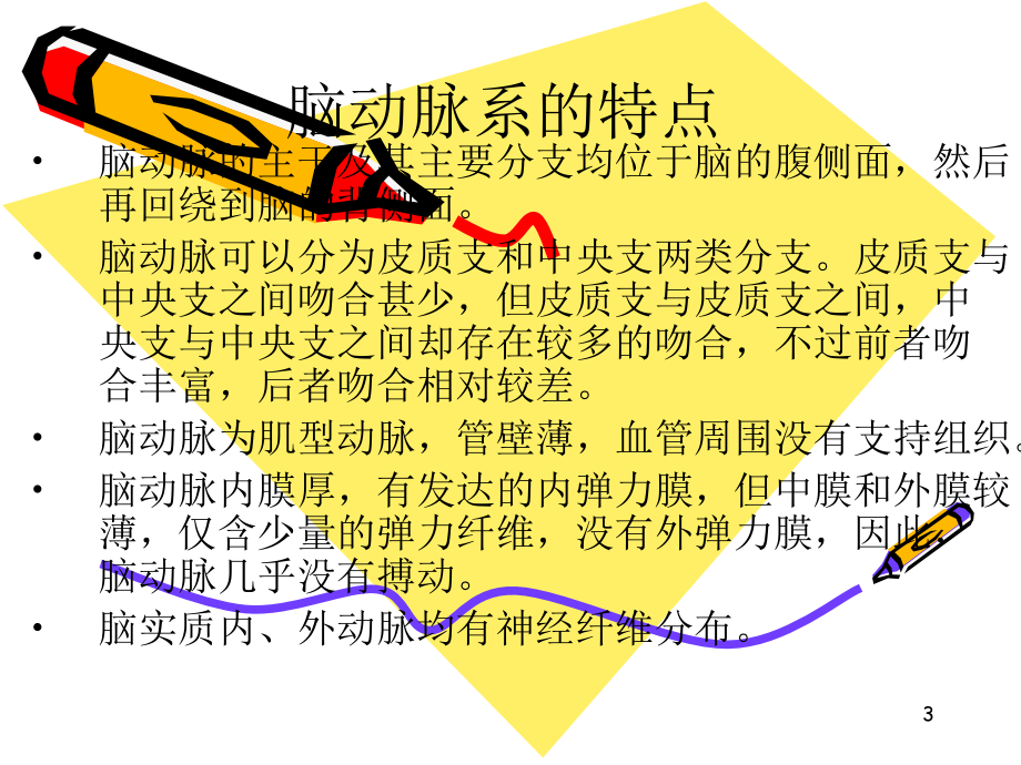 脑血管各支供血区分布演示PPT_第3页