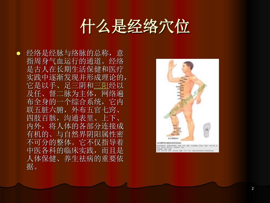 人体经络（课堂PPT）_第2页