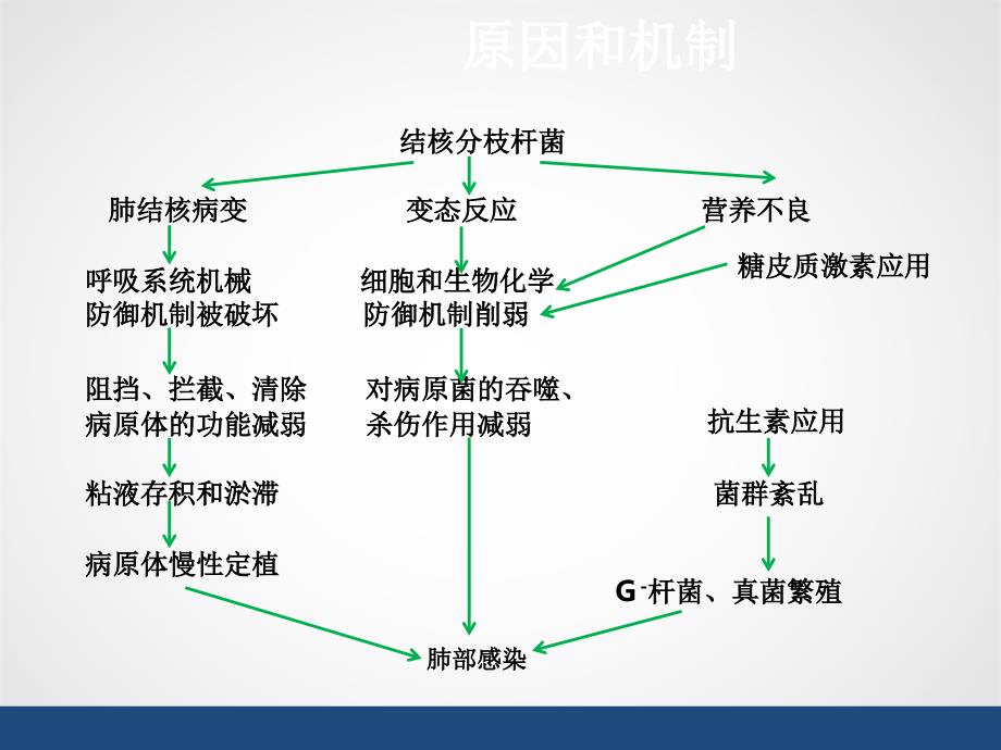 肺结核合并肺部感染演示PPT_第4页