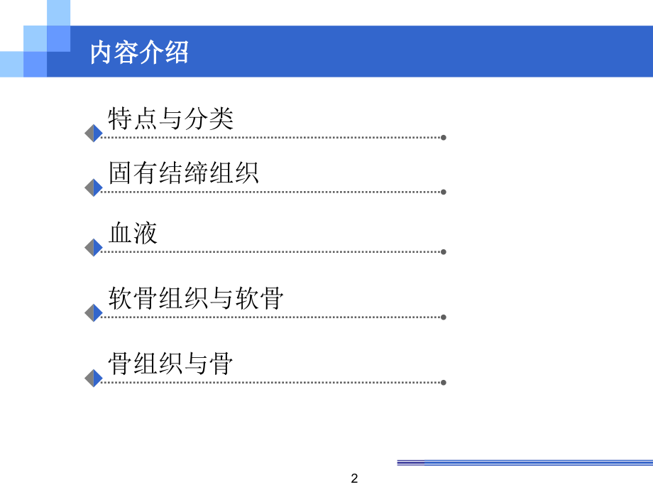 组织胚胎学（课堂PPT）_第2页