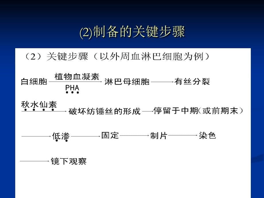 染色体病诊断技术（课堂PPT）_第5页