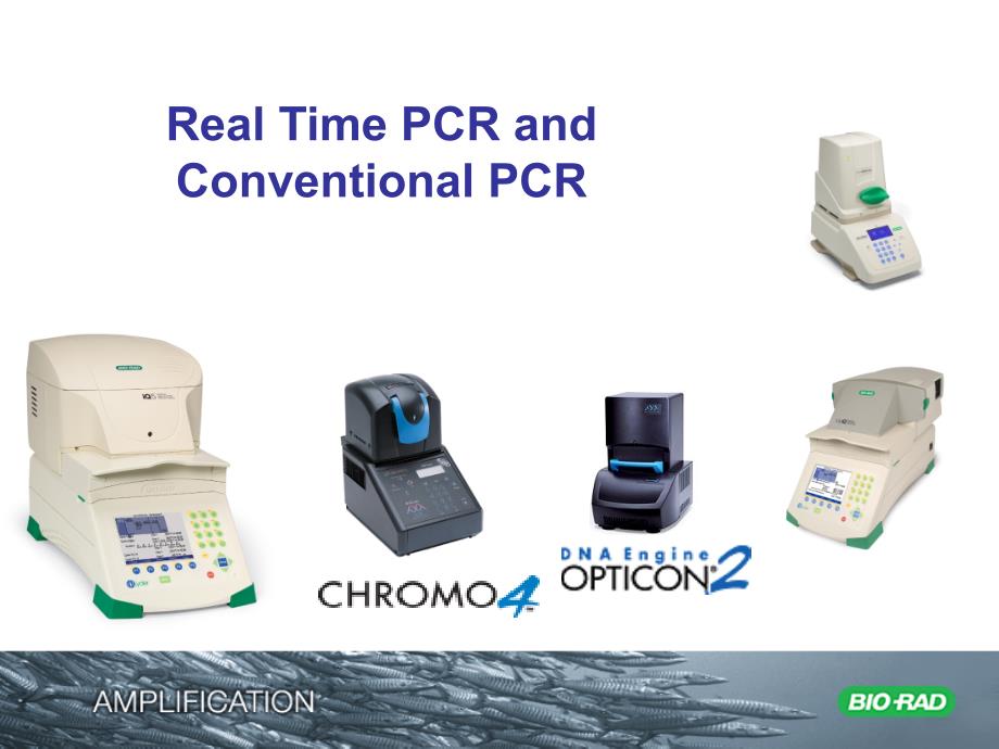 Bio-Rad定量PCR说明书..ppt_第3页