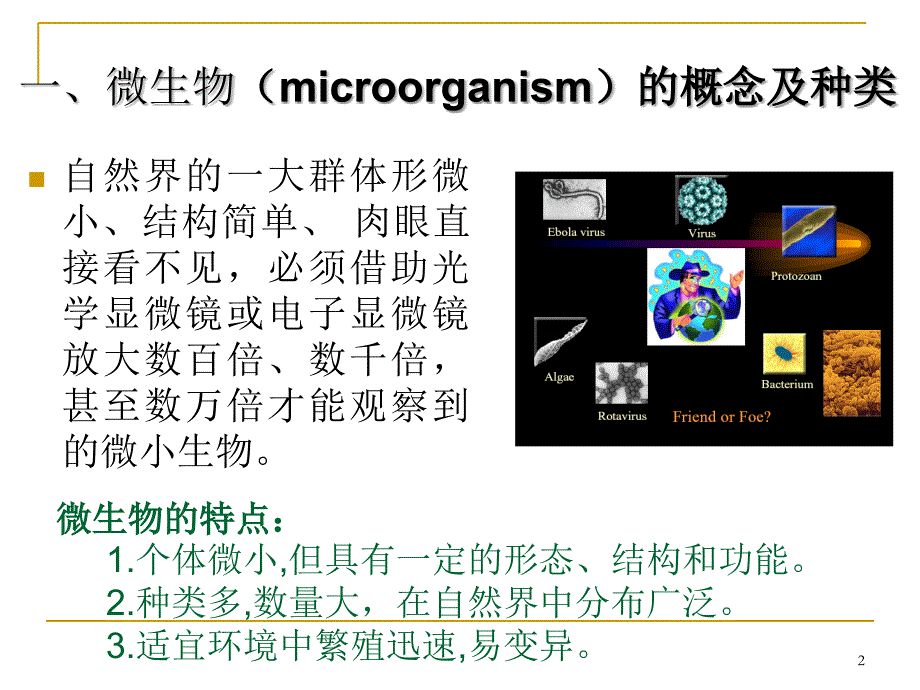 医学微生物概述演示PPT_第2页