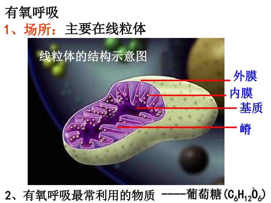 有氧呼吸（课堂PPT）_第3页