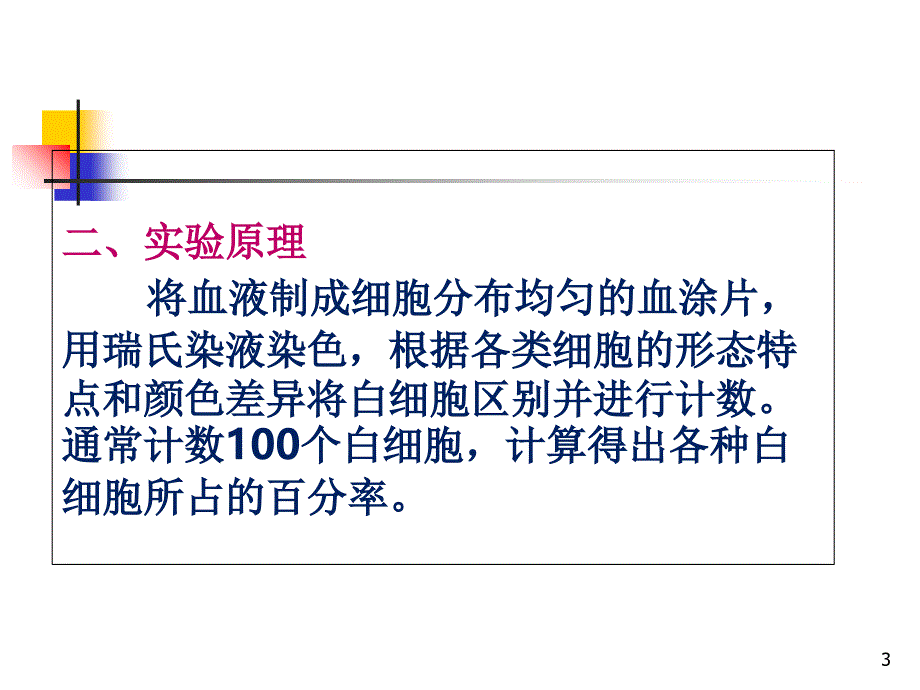 白细胞分类计数（课堂PPT）_第3页