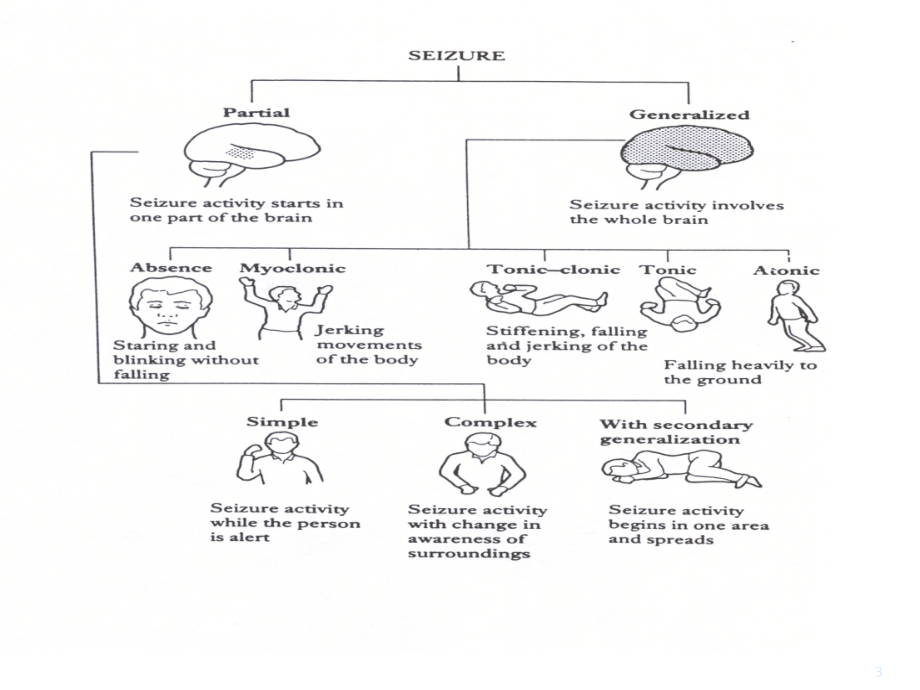 抗癫痫药物的选择（课堂PPT）_第3页