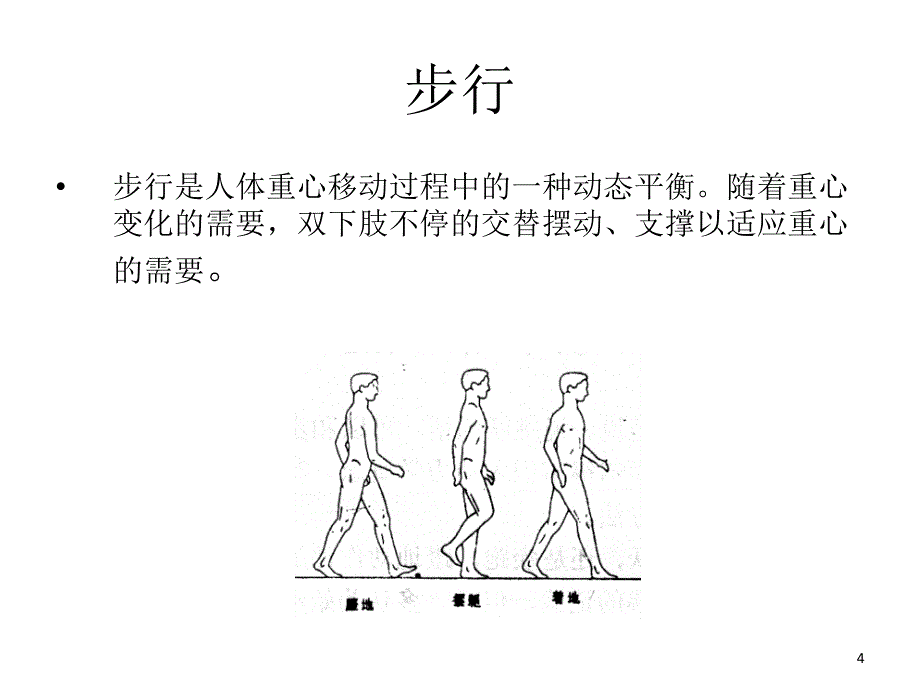 偏瘫患者异常步态的原因分析（课堂PPT）_第4页