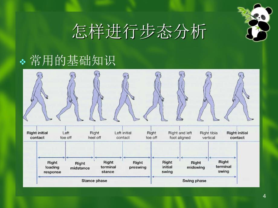 康复医学步态分析演示PPT_第4页