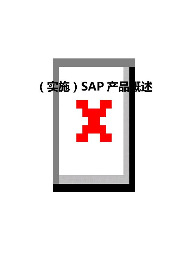 （实施）SAP产品概述（优质）