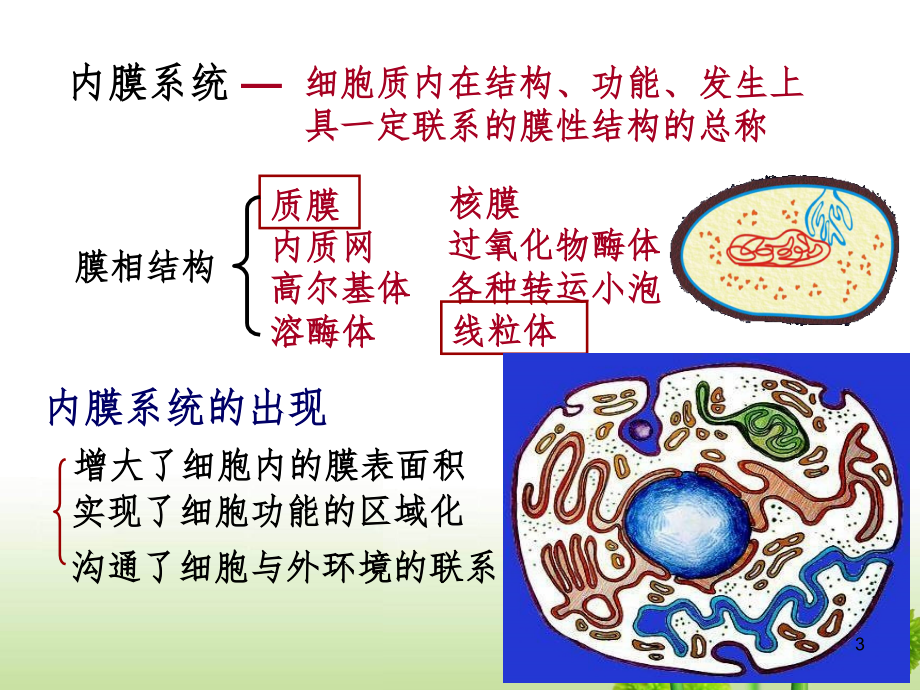 医学细胞生物学3四章内膜系统PPT_第3页