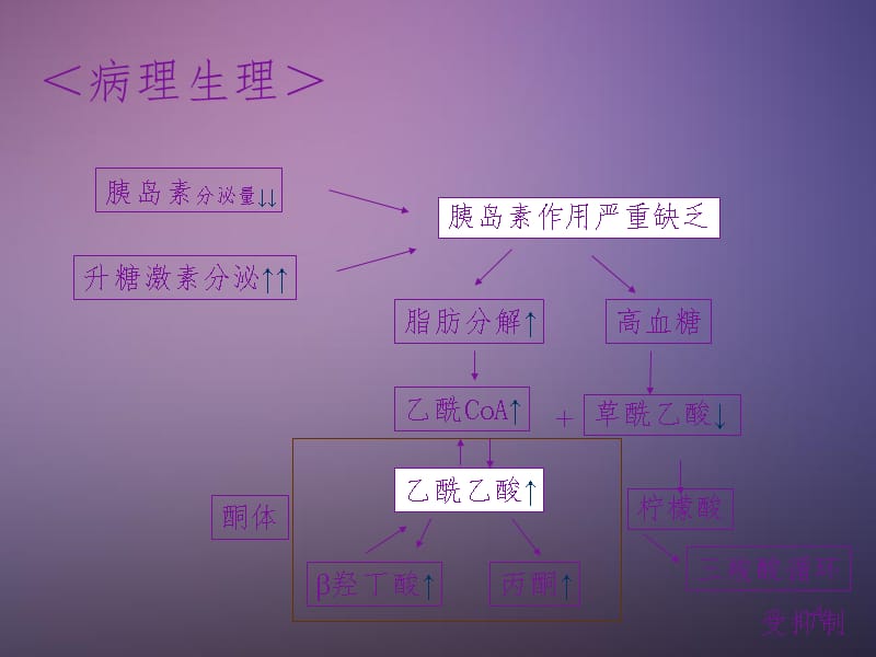 糖尿病酮症酸中毒推荐PPT_第4页