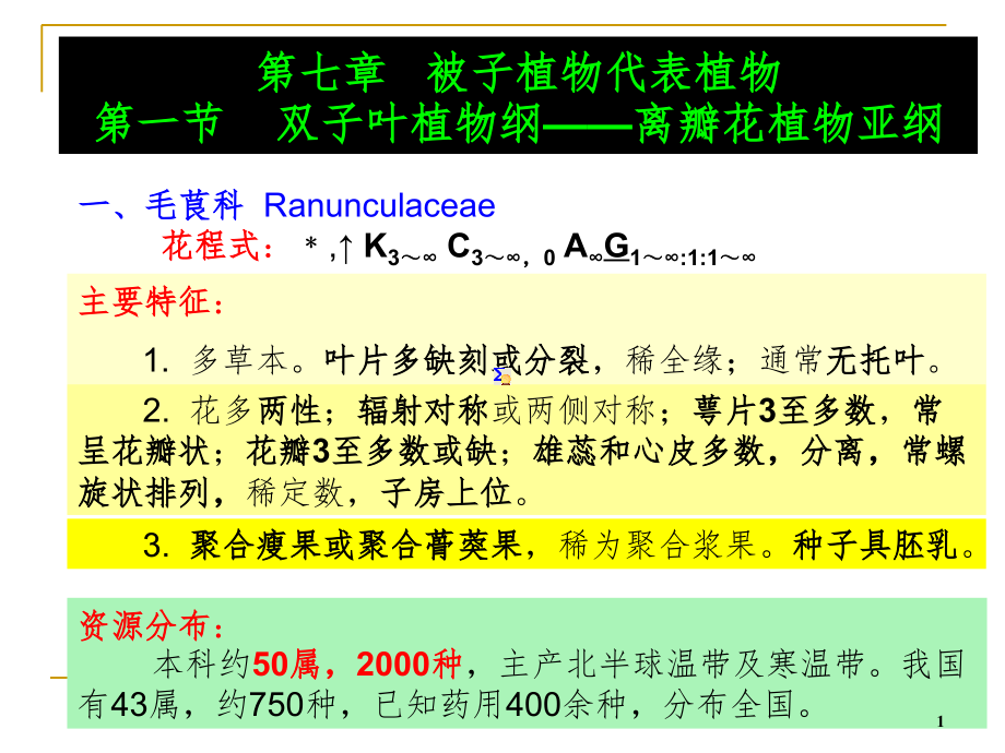 药用植物学被子植物代表植物PPT_第1页