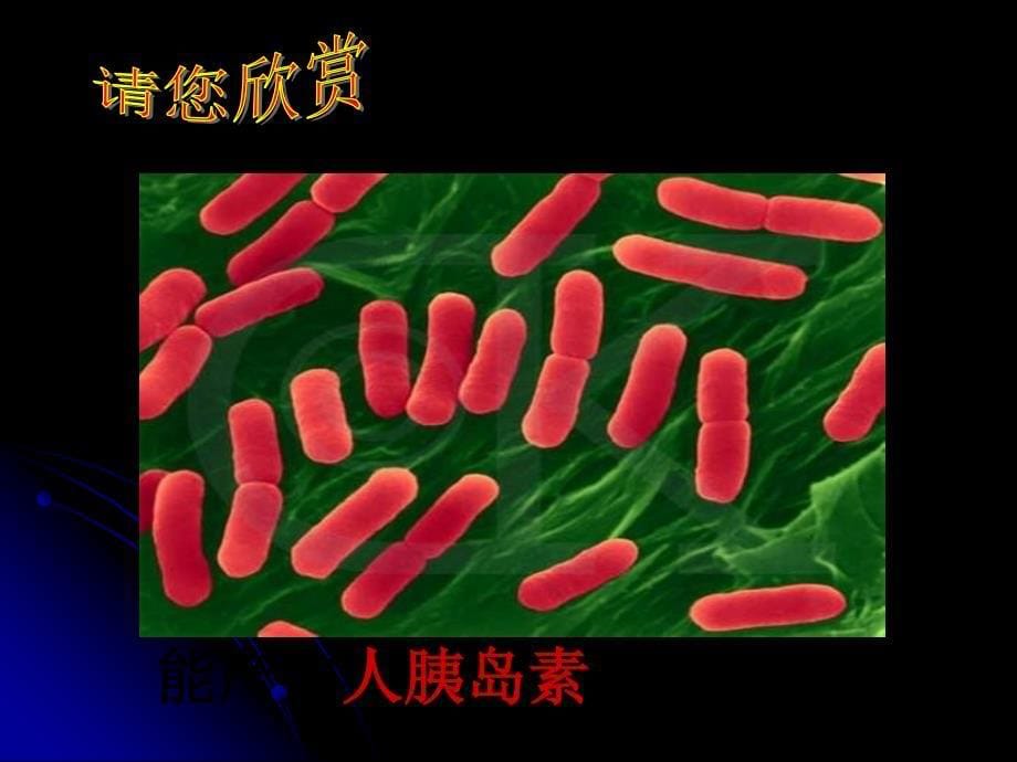 62基因工程精编版_第5页