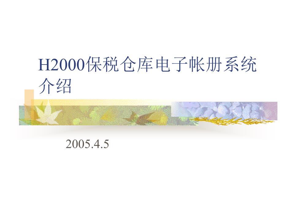 H2000保税仓库电子帐册系统演示教学_第1页