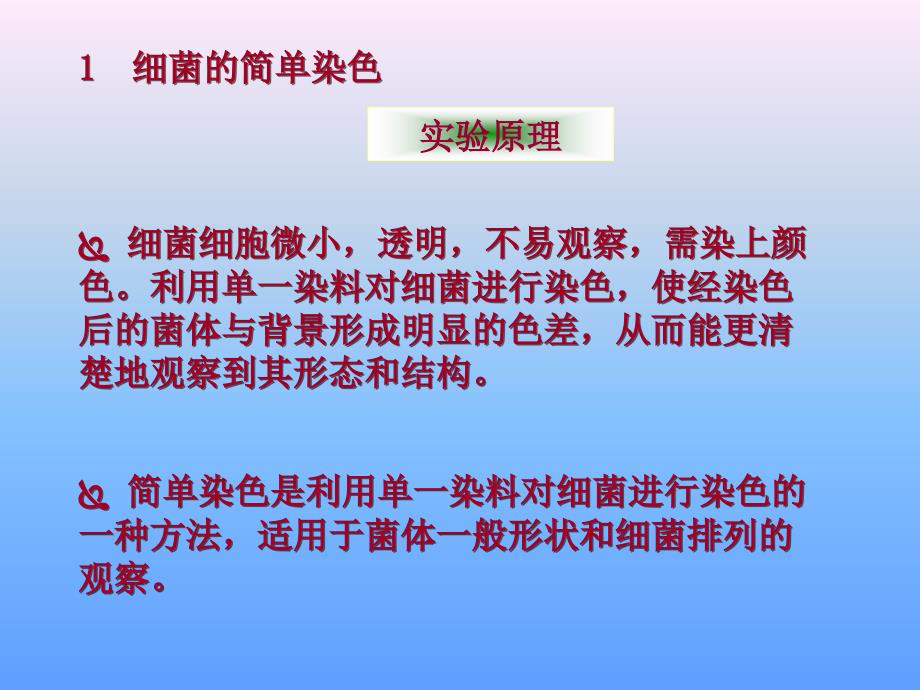 实验二++革兰氏染色及细菌特殊结构观课件_第3页