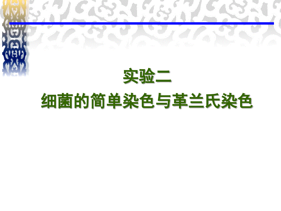 实验二+细菌的简单染色与革兰氏染色课件_第1页