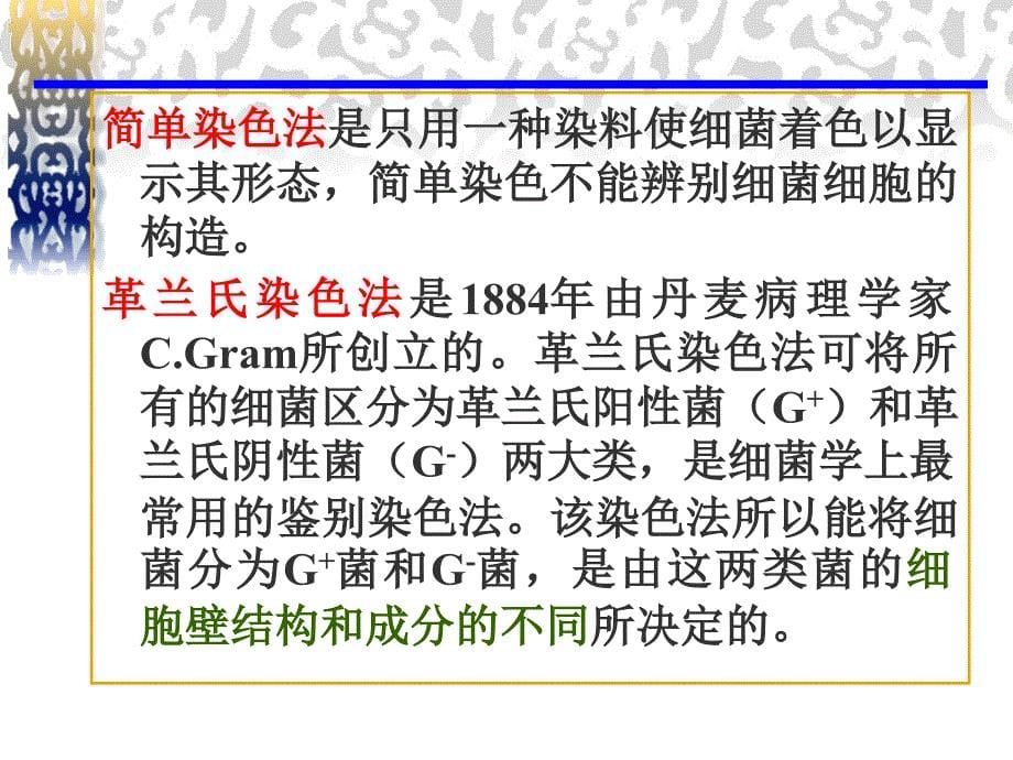 实验二+细菌的简单染色与革兰氏染色课件_第5页