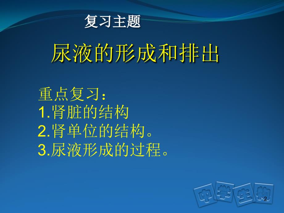 泌尿系统结构及尿液形成过程PPT_第2页