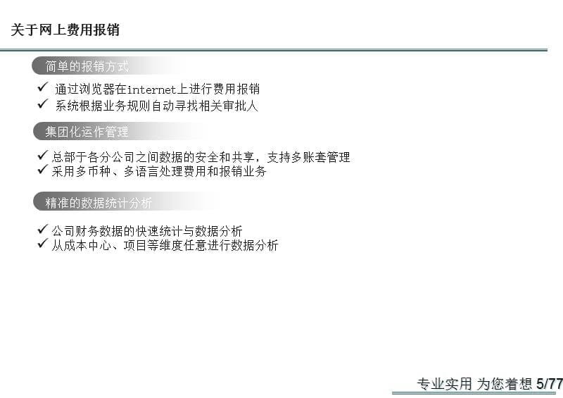 财务费用报销与预算控制解决方案资料教程_第5页